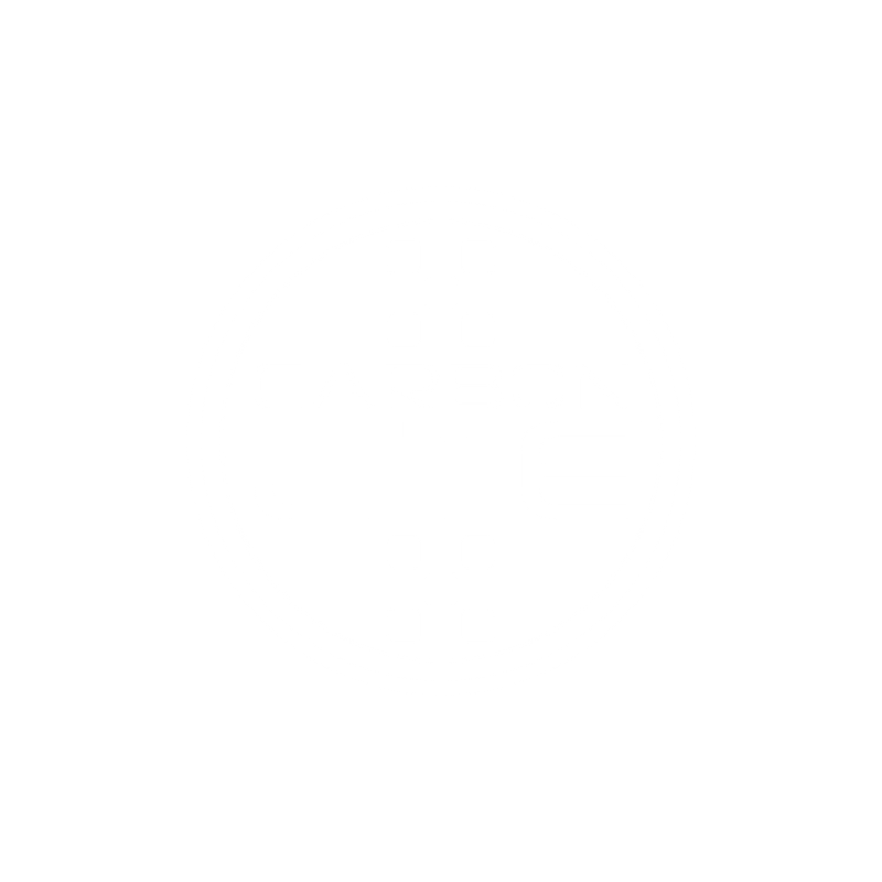 Carbon Lite Construction