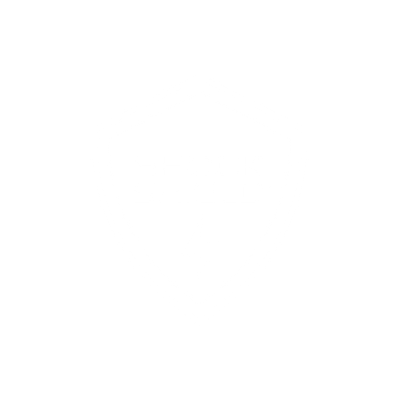 Shock Shield